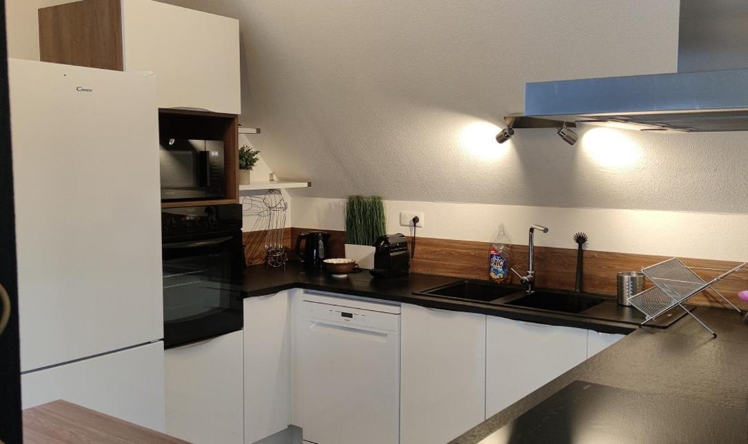 Appartamento Le Strasbourgeois Illkirch-Graffenstaden Esterno foto