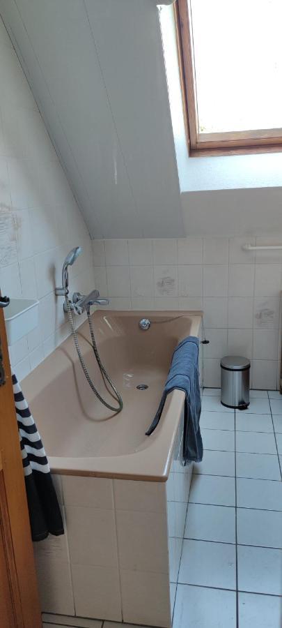 Appartamento Le Strasbourgeois Illkirch-Graffenstaden Esterno foto