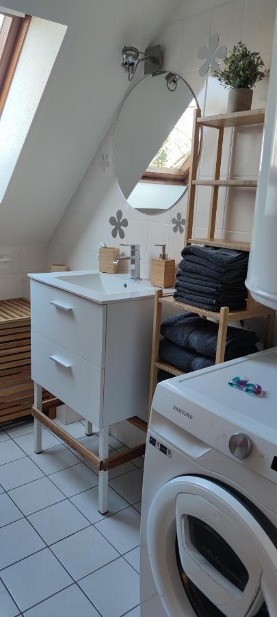 Appartamento Le Strasbourgeois Illkirch-Graffenstaden Esterno foto